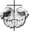 Lutheran Mission Society Compassion Center business logo
