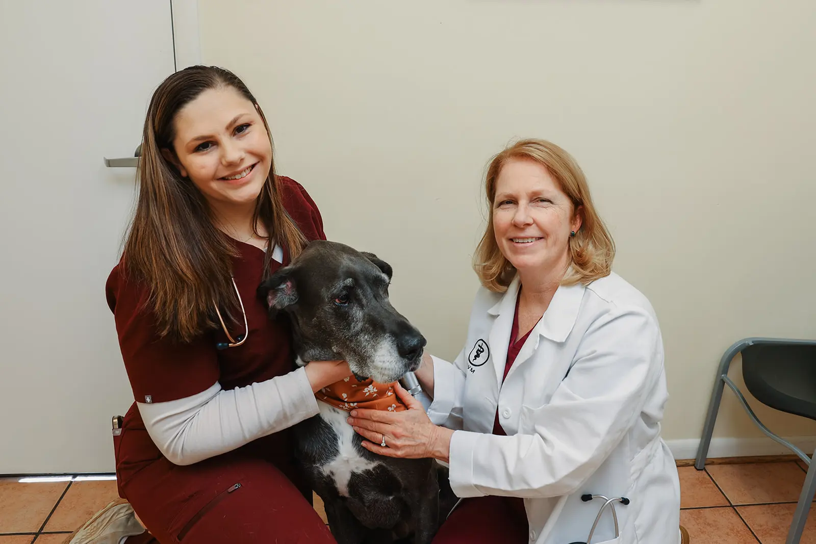 Arnold Veterinary Hospital